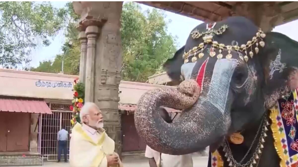 WATCH: Sri Ranganathaswamy Temple Elephant Plays Mouth Organ For PM Modi In Trichy