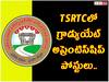 TSRTC: టీఎస్ఆర్టీసీలో 150 గ్రాడ్యుయేట్ అప్రెంటిస్షిప్ ఖాళీలు, డిగ్రీ అర్హత చాలు