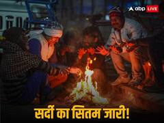 दिल्ली-यूपी में घने कोहरे से विजिबिलिटी रहेगी कम, तीन दिन शीतलहर बढ़ाने वाली है सर्दी, इन राज्यों में 'कोल्ड डे' का अलर्ट