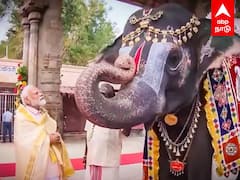 Modi with sri rangam temple elephant : ஸ்ரீ ரங்க ஆண்டாளுடன் கொஞ்சி விளையாடிய பிரதமர் | BJP | Andal