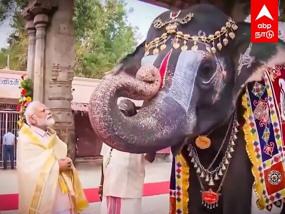 Modi with sri rangam temple elephant : ஸ்ரீ ரங்க ஆண்டாளுடன் கொஞ்சி விளையாடிய பிரதமர் | BJP | Andal