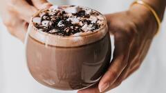 Hot Chocolate: খনিজ উপকরণে ভরপুর হট চকোলেট খেয়াল রাখে ত্বকের, সুদৃঢ় করে রোগ প্রতিরোধ ক্ষমতা