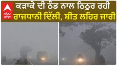Delhi Weather Report |ਕੜਾਕੇ ਦੀ ਠੰਡ ਨਾਲ ਠਿਠੁਰ ਰਹੀ ਰਾਜਧਾਨੀ ਦਿੱਲੀ, ਸ਼ੀਤ ਲਹਿਰ ਜਾਰੀ