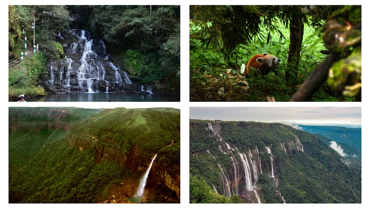 Meghalaya Foundation Day is observed on January 21. This state is an ideal destination for travellers and visitors, rich in natural wonders and landscapes. Here are the top 7 places that you can visit