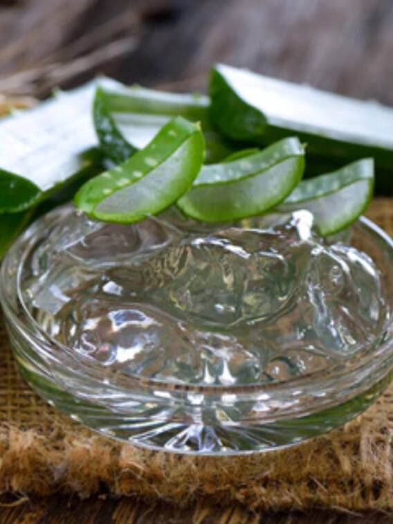 जानें पत्तियों से एलोवेरा जेल स्टोर करने का आसान तरीका