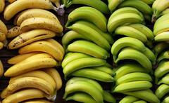 11 लाखांची नोकरी सोडून सुरु केलं स्वत:चं स्टार्टअप, बांबू आणि केळीपासून बनवतोय विविध उत्पादने