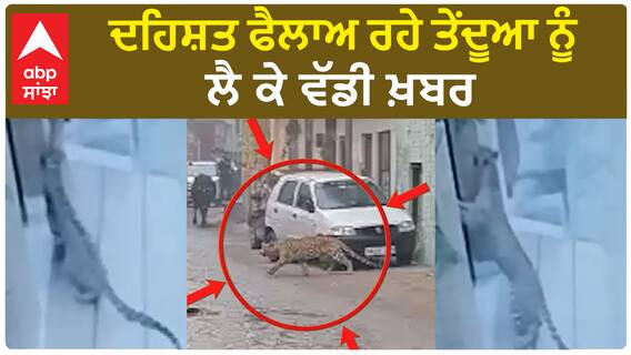 Leopard| ਦਹਿਸ਼ਤ ਫੈਲਾਅ ਰਹੇ ਤੇਂਦੂਆ ਨੂੰ ਲੈ ਕੇ ਵੱਡੀ ਖ਼ਬਰ