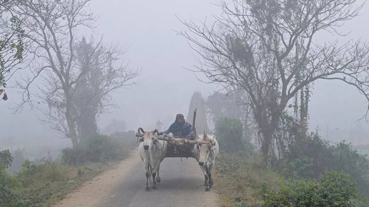 কার্যত শীতল দিনের মতো পরিস্থিতি তৈরি হয়েছে সকালের দিকে। রাতের তাপমাত্রা সামান্য বেড়েছে।