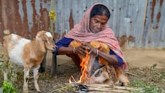 In Pics: मध्य प्रदेश में फिलहाल ठंड से राहत के आसार नहीं! जानें- अगले कुछ दिनों में कैसा रहेगा मौसम?