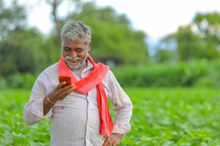 Pradhan Mantri Fasal Bima Yojana All problems related to crop insurance will now be solved with one call, toll free number will be launched soon पीक विम्याशी संबंधित सर्व समस्या आता एका कॉलवर सुटणार, लवकरच सुरु होणार टोल फ्री क्रमांक