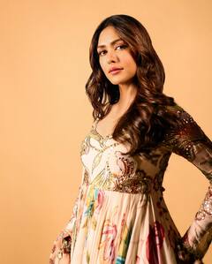 Mrunal Thakur : ఇప్పుడు తన మూడ్ ఫిల్మ్స్​ మీద లేదంటున్న మృణాల్ ఠాకూర్