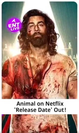 Animal कब और किस OTT  Platform पर Release होगी? कितने नए सीन डालेंगे?