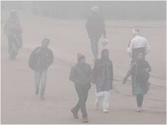 Delhi Weather Update: दिल्ली में कब तक सताएगी कड़ाके की ठंड? मौसम विभाग ने दिया ये अपडेट