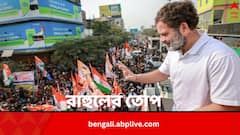 'আপনার নজর ঘোরাতে সমাজে ঘৃণা ছড়াতে চায় বিজেপি-আরএসএস', তোপ রাহুলের