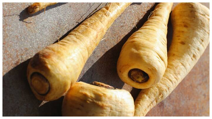 जिनसेंग एक जड़ी-बूटी है जिसमें गिन्सेनोसाइड्स नामक यौगिक पाए जाते हैं. ये यौगिक शरीर में टेस्टोस्टेरोन और अन्य हार्मोन के स्तर को बढ़ाने में मदद करते हैं