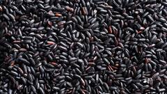 Black Rice Benefits: লিভার আর হার্ট দুইই রাখে চাঙ্গা ! এই চালের ভাত খেলে ভুলে যাবেন রোগের নাম