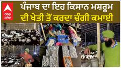 Mushroom Cultivation| ਪੰਜਾਬ ਦਾ ਇਹ ਕਿਸਾਨ ਮਸ਼ਰੂਮ ਦੀ ਖੇਤੀ ਤੋਂ ਕਰਦਾ ਚੰਗੀ ਕਮਾਈ