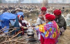 Punjab Weather: पंजाब और हरियाणा में पड़ रही हाड़ कंपा देने वाली ठंड, जानें- कहां दर्ज हुआ सबसे कम तापमान?