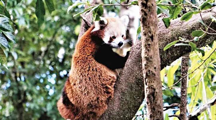 அமெரிக்கா - 9