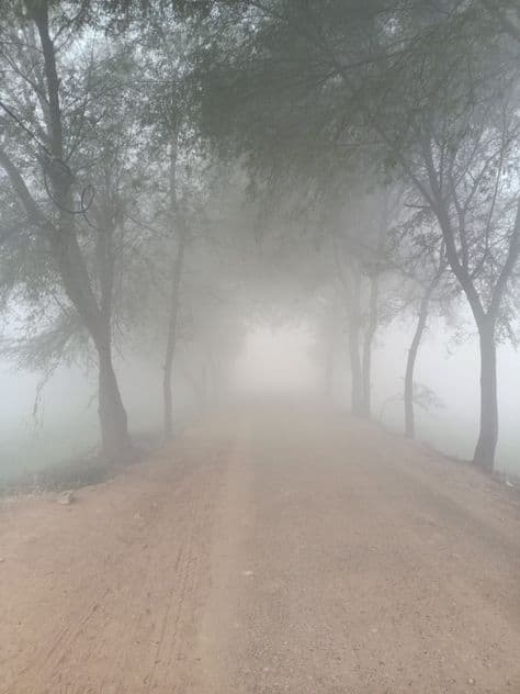 ਪੰਜਾਬ ਨੂੰ ਹਾਲੇ ਨਹੀਂ ਮਿਲੇਗੀ ਧੁੰਦ ਤੇ ਕੋਹਰੇ ਤੋਂ ਰਾਹਤ