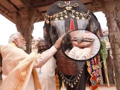PM Modi Blessed by Elephant : Ranganatha Swamy Temple లో ఓ ఏనుగు అద్భుతం | ABP Desam
