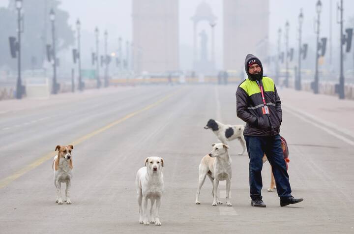 दिल्ली के पालम में सोमवार को न्यूनतम तापमान 6.3 डिग्री सेल्सियस दर्ज हुआ, जो सामान्य से -0.9 कम है. इसके अलावा सफदरजंग में न्यूनतम तापमान 6.1 डिग्री सेल्सियस दर्ज हुआ, जो सामान्य से -1.4 कम है. (फाइल फोटो)