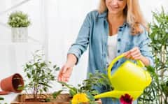 Garden tips: ਤੁਸੀਂ ਘੱਟ ਥਾਂ ‘ਚ ਇਦਾਂ ਬਣ ਸਕਦੇ ਬਗੀਚਾ, ਅਪਣਾਓ ਇਹ ਪੰਜ ਤਰੀਕੇ