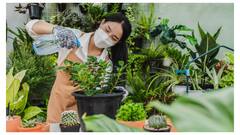 कम जगह में भी आप घर पर खूबसूरत गार्डन बना सकते हैं, इन पांच आसान तरीकों से