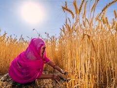 Govt To Likely Raise Agri-Credit Target To Rs 22-25 Lakh Crore In Interim Budget For Next Fiscal