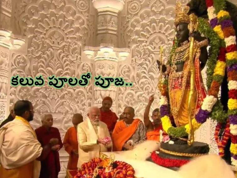 Ayodhya Ram Mandir Inauguration religious and spiritual importance and benefits of using lotus flowers in pooja Ayodhya Ram Mandir Inauguration : రాముడికి కలువ పూలతో మోదీ పూజ - ఈ పూలు ఎందుకు ప్రత్యేకమో తెలుసా!