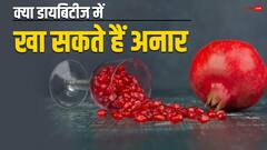 क्या डायबिटीज के मरीज का सकते हैं सेहत से भरपूर अनार, जानिए क्या कहते हैं एक्सपर्ट्स