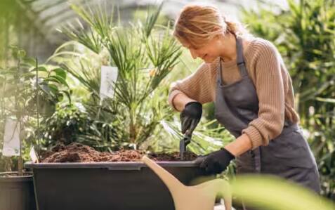 ਕਈ ਤਰ੍ਹਾਂ ਦੇ ਪੁਰਾਣੇ ਡੱਬੇ, ਟੱਬ, ਟਾਇਰ ਆਦਿ ਦੀ ਵਰਤੋਂ ਕਰਕੇ ਬਗੀਚਾ ਆਸਾਨੀ ਨਾਲ ਤਿਆਰ ਕੀਤਾ ਜਾ ਸਕਦਾ ਹੈ। ਇਨ੍ਹਾਂ ਵਿੱਚ ਮਿੱਟੀ ਭਰ ਕੇ ਅਤੇ ਪੌਦੇ ਲਗਾ ਕੇ ਅਸੀਂ ਬਿਨਾਂ ਕਿਸੇ ਖਰਚੇ ਦੇ ਇੱਕ ਸੁੰਦਰ ਬਾਗ ਬਣਾ ਸਕਦੇ ਹਾਂ।