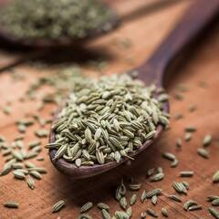 Fennel Seed: ਆਮ ਰਸੋਈ ਵਿਚ ਵਰਤੀ ਜਾਣ ਵਾਲੀ ਸੌਂਫ ਦੇ ਵੀ ਹਨ ਸਿਹਤ ਲਈ ਵੱਡੇ ਨੁਕਸਾਨ