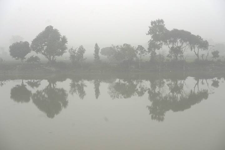 अन्य स्थानों पर रात का तापमान छह डिग्री से ऊपर रहा. राज्य में अलवर, भरतपुर, दौसा, धौलपुर, झुंझुनू, करौली, सवाई माधोपुर और सीकर समेत कुछ इलाकों में कोहरे से लेकर घना कोहरा देखने को मिला. (प्रतीकात्मक तस्वीर)