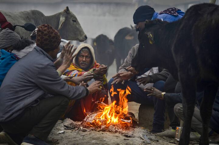 पंजाब में ठंडी हवाएं चलने और धूप न निकलने की वजह से ठिठुरन बढ़ती जा रही हैं. मौसम विभाग ने पंजाब में कोहरे और शीतलहर का रेड अलर्ट जारी किया है. (फाइल फोटो)
