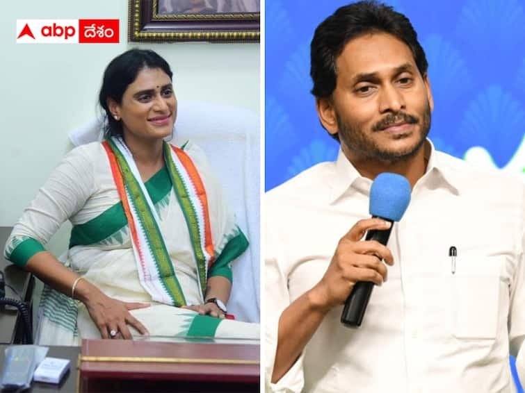 Sharmila is trying to get Dalit and Muslim votes back abpp Sharmila AP Plan :  దళిత, ముస్లిం ఓటు బ్యాంక్‌పైనే షర్మిల దృష్టి - అందుకే వైఎస్ఆర్‌సీపీ టార్గెట్ చేస్తోందా ?