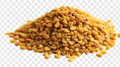 Health Tips: ज्यादा मेथी खाना भी सेहत के लिए है नुकसानदायक