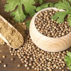 Uric Acid: ਧਨੀਆ ਯੂਰਿਕ ਐਸਿਡ ਦੀ ਦਰਦ ਨੂੰ ਕਰਦਾ ਹੈ ਕੰਟ੍ਰੋਲ, ਦੇਖੋ ਪਾਊਡਰ ਬਣਾਉਣ ਦਾ ਤੀਰਕਾ