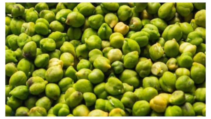 हरा चना सभी स्प्राउट्स यानी कि अंकुरित अनाजों में सबसे ज्यादा पौष्टिक और फायदेमंद माना जाता है. यह एक ऐसा सुपरफूड है जिसमें कई जरूरी विटामिन, मिनरल्स, एंटीऑक्सीडेंट्स और फाइबर पाए जाते हैं. जो हमारे शरीर के लिए बेहद जरूरी होते हैं.