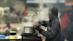 हरियाणा-पंजाब में सीवियर कोल्‍ड का अलर्ट, कोहरे से अभी नहीं मिलेगी राहत, चंडीगढ़ में बढ़ीं स्कूलों की छुट्टियां