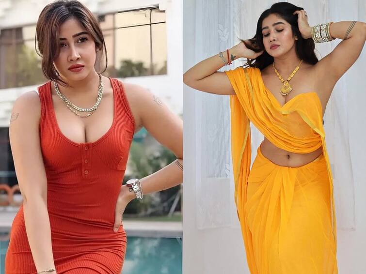 Sofia Ansari Instagram shock for a model who earns a crore rupees a year, do you know the reason? Sofia Ansari: ఆ పోస్టులతో రూ.కోటి సంపాదించే నటికి ఇన్‌స్టాగ్రామ్ షాక్, కారణం ఏంటో తెలుసా?