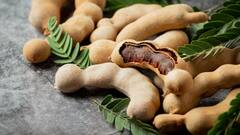 Tamarind benefits: লিভারের ক্ষমতা তুঙ্গে থাকে ! খাবেন না এড়াবেন ?