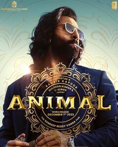 Republic Day वीकेंड को बनाना है शानदार तो घर बैठे OTT पर देखें ये लेटेस्ट फिल्में और सीरीज, लिस्ट में 'एनिमल' भी है शामिल