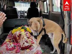 Dog owner dies dog cries : மறைந்த எஜமான்..சுற்று சுற்றி வந்த வளர்ப்பு நாய்! மனதை உருக்கும் தருணம்