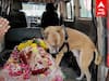 Dog owner dies dog cries : மறைந்த எஜமான்..சுற்று சுற்றி வந்த வளர்ப்பு நாய்! மனதை உருக்கும் தருணம்