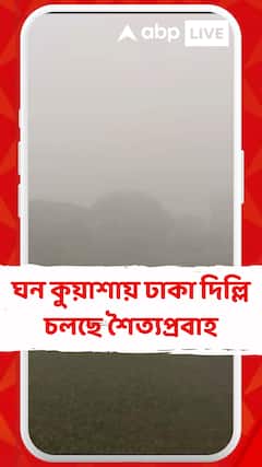 ঘন কুয়াশায় ঢাকা দিল্লি চলছে শৈত্যপ্রবাহ, তাপমাত্রা নামল সাতের ঘরে