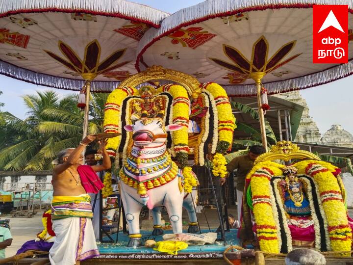 அந்தவகையில், பெருநகர் அருள்மிகு ஸ்ரீ பட்டுவதனாம்பிகை சமேத அருள்மிகு ஸ்ரீ பிரம்மபுரீஸ்வரர் ஆலயத்தில் தைப்பூசம் விழா விமரிசையாக நடைபெற்று வருகிறது. கடந்த ஜனவரி 15-ஆம் தேதி வெகு விமரிசையாக தைப்பூச விழா துவங்கியது