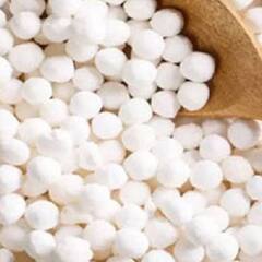 Sabudana Benefits: ਪਤਲੇ ਦੁਬਲੇ ਲੋਕ ਖਾਣ ਆਹ ਚੀਜ਼ ਤਾਂ ਨਹੀਂ ਹੋਵੇਗੀ ਕਮਜ਼ੋਰੀ