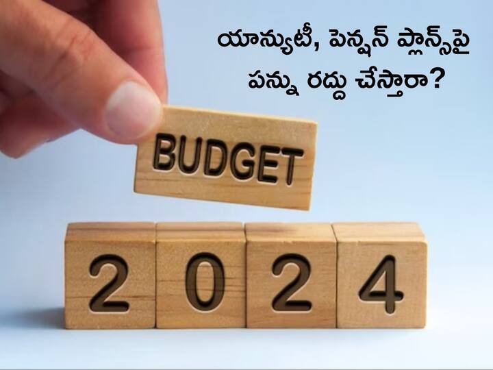 Budget 2024 expectations Extending tax exemption for pension, annuity, term life insurance plans Budget 2024: యాన్యుటీ-పెన్షన్‌ ప్లాన్స్‌పై పన్ను తీసేస్తారా, టర్మ్‌ ప్లాన్స్‌కు ప్రత్యేక మినహాయింపు ఇస్తారా?