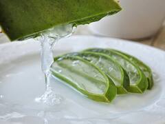 Aloe vera Juice : கற்றாழை சாறு குடிப்பதால் உடலுக்கு இத்தனை ஆரோக்கிய நன்மைகளா?